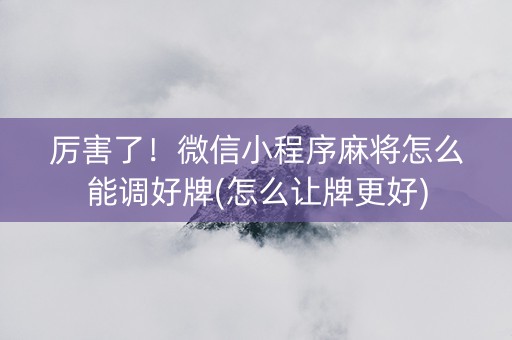 厉害了！微信小程序麻将怎么能调好牌(怎么让牌更好)