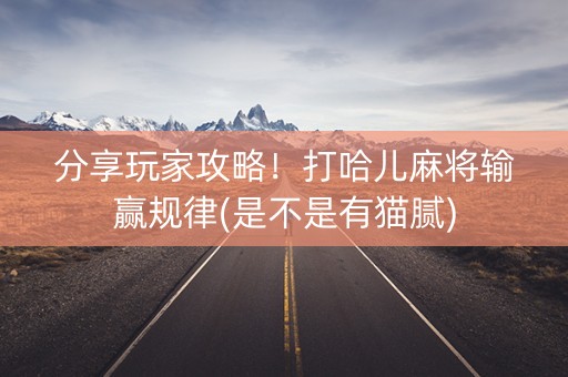 分享玩家攻略！打哈儿麻将输赢规律(是不是有猫腻)