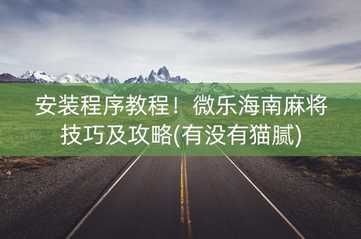 安装程序教程！微乐海南麻将技巧及攻略(有没有猫腻)