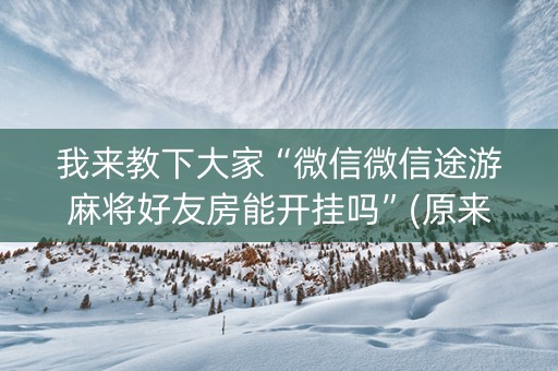 我来教下大家“微信微信途游麻将好友房能开挂吗”(原来真的有挂)-抖音