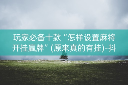 玩家必备十款“怎样设置麻将开挂赢牌”(原来真的有挂)-抖音