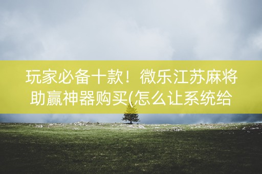 玩家必备十款！微乐江苏麻将助赢神器购买(怎么让系统给你发好牌)