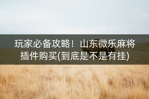 玩家必备攻略！山东微乐麻将插件购买(到底是不是有挂)
