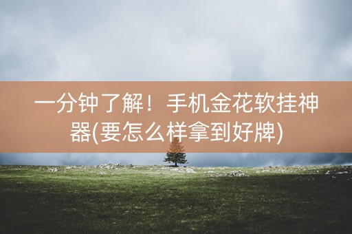 一分钟了解！手机金花软挂神器(要怎么样拿到好牌)