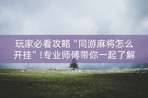 玩家必看攻略“同游麻将怎么开挂”!专业师傅带你一起了解（详细教程）-抖音