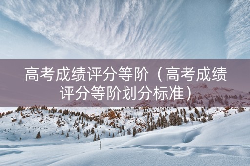 高考成绩评分等阶（高考成绩评分等阶划分标准）