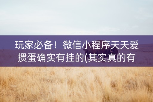 玩家必备！微信小程序天天爱掼蛋确实有挂的(其实真的有挂)