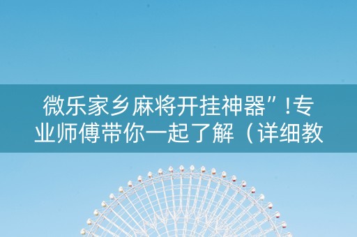 微乐家乡麻将开挂神器”!专业师傅带你一起了解（详细教程）-抖音