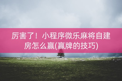 厉害了！小程序微乐麻将自建房怎么赢(赢牌的技巧)