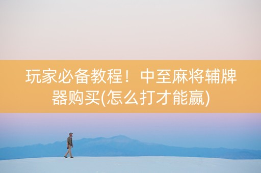 玩家必备教程！中至麻将辅牌器购买(怎么打才能赢)