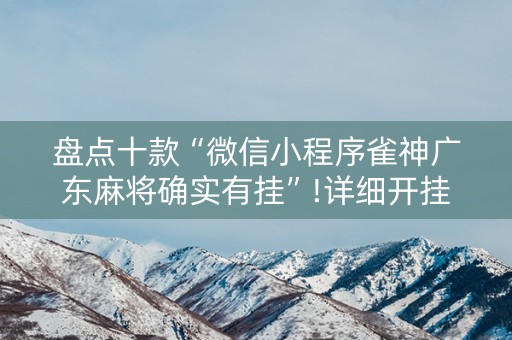 盘点十款“微信小程序雀神广东麻将确实有挂”!详细开挂教程-抖音