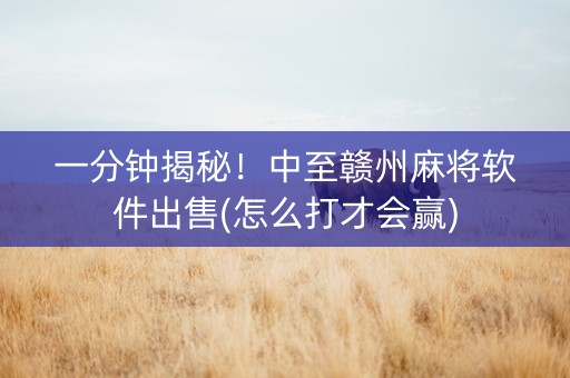 一分钟揭秘！中至赣州麻将软件出售(怎么打才会赢)