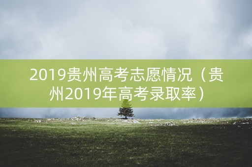 2019贵州高考志愿情况（贵州2019年高考录取率）