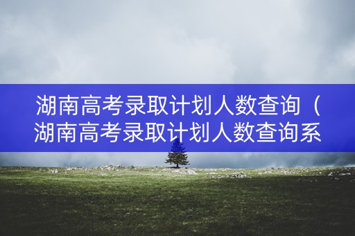 湖南高考录取计划人数查询（湖南高考录取计划人数查询系统）