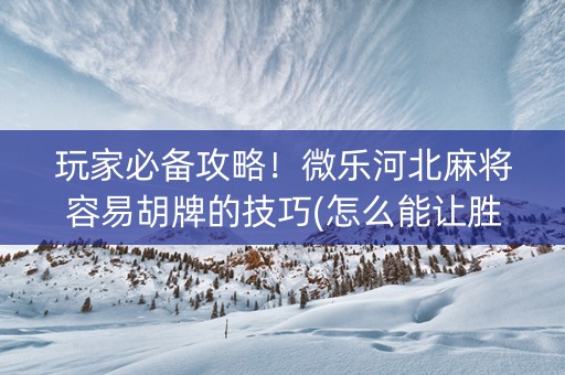 玩家必备攻略！微乐河北麻将容易胡牌的技巧(怎么能让胜率高)