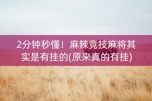 2分钟秒懂！麻辣竞技麻将其实是有挂的(原来真的有挂)