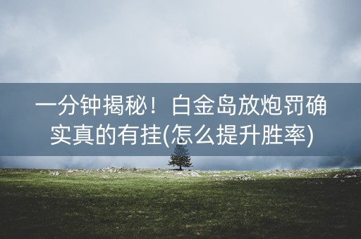 一分钟揭秘！白金岛放炮罚确实真的有挂(怎么提升胜率)