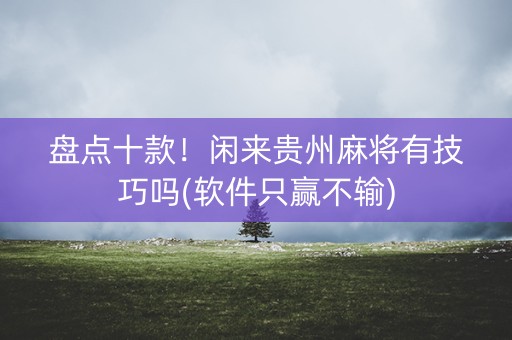 盘点十款！闲来贵州麻将有技巧吗(软件只赢不输)