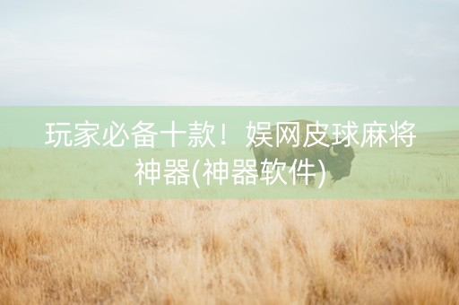 玩家必备十款！娱网皮球麻将神器(神器软件)