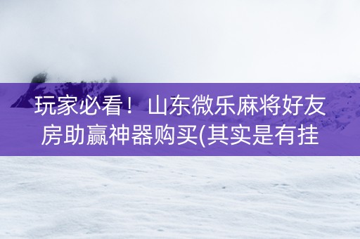 玩家必看！山东微乐麻将好友房助赢神器购买(其实是有挂确实有挂)