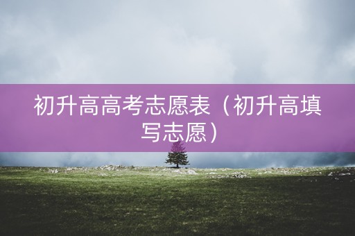 初升高高考志愿表（初升高填写志愿）