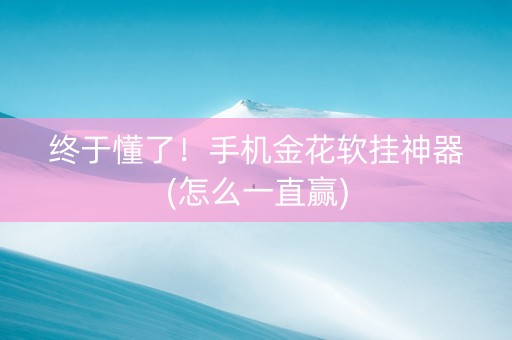 终于懂了！手机金花软挂神器(怎么一直赢)