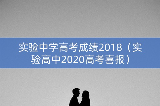 实验中学高考成绩2018（实验高中2020高考喜报）