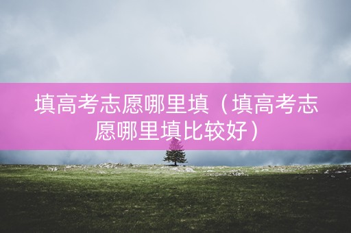填高考志愿哪里填（填高考志愿哪里填比较好）
