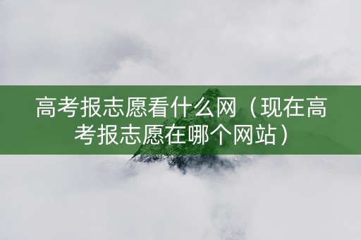 高考报志愿看什么网（现在高考报志愿在哪个网站）