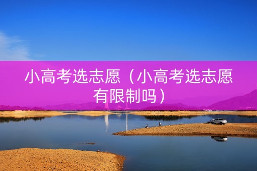 小高考选志愿（小高考选志愿有限制吗）