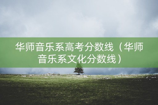 华师音乐系高考分数线（华师音乐系文化分数线）