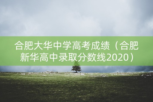 合肥大华中学高考成绩（合肥新华高中录取分数线2020）