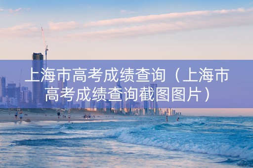上海市高考成绩查询（上海市高考成绩查询截图图片）