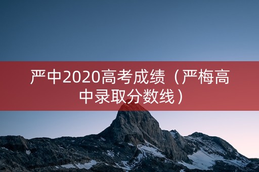 严中2020高考成绩（严梅高中录取分数线）