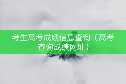 考生高考成绩信息查询（高考查询成绩网址）