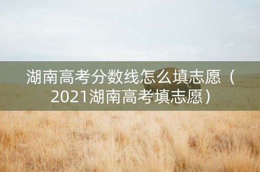 湖南高考分数线怎么填志愿（2021湖南高考填志愿）