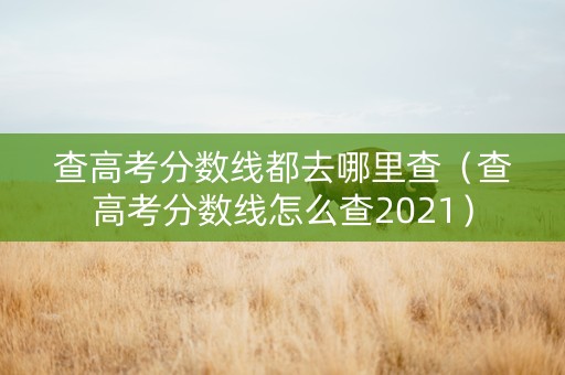 查高考分数线都去哪里查（查高考分数线怎么查2021）