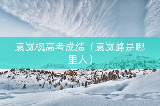 袁岚枫高考成绩（袁岚峰是哪里人）
