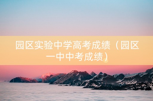 园区实验中学高考成绩（园区一中中考成绩）