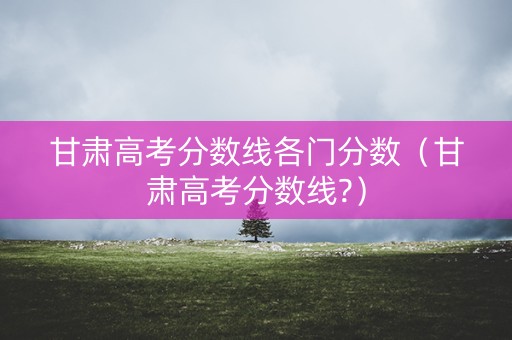 甘肃高考分数线各门分数（甘肃高考分数线?）
