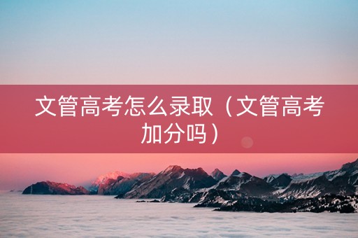 文管高考怎么录取（文管高考加分吗）