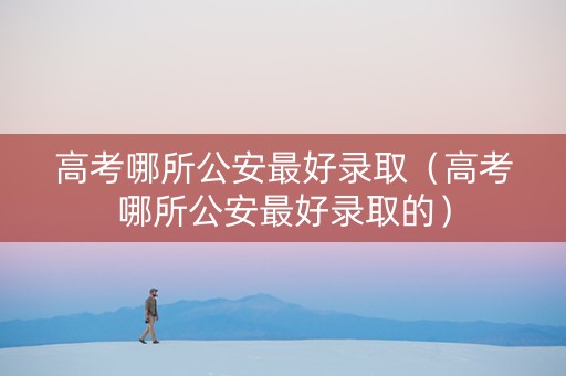 高考哪所公安最好录取（高考哪所公安最好录取的）