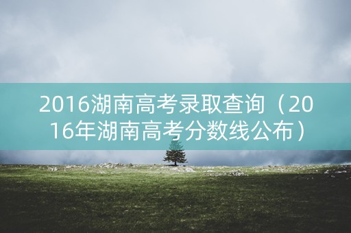 2016湖南高考录取查询（2016年湖南高考分数线公布）