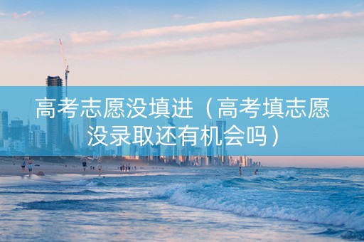 高考志愿没填进（高考填志愿没录取还有机会吗）