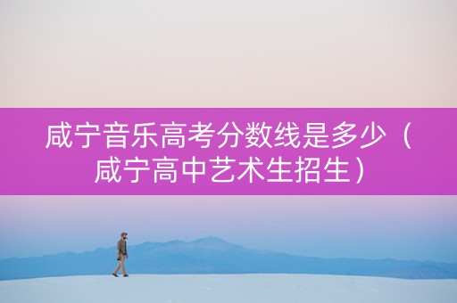 咸宁音乐高考分数线是多少（咸宁高中艺术生招生）