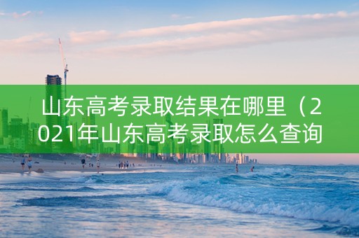 山东高考录取结果在哪里（2021年山东高考录取怎么查询）