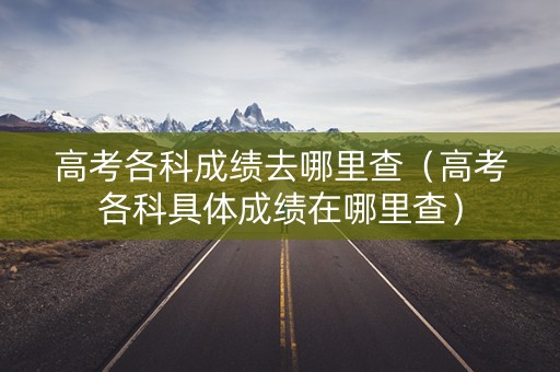 高考各科成绩去哪里查（高考各科具体成绩在哪里查）