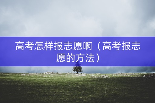 高考怎样报志愿啊（高考报志愿的方法）
