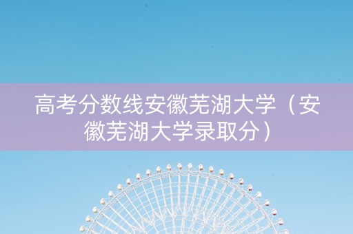 高考分数线安徽芜湖大学（安徽芜湖大学录取分）