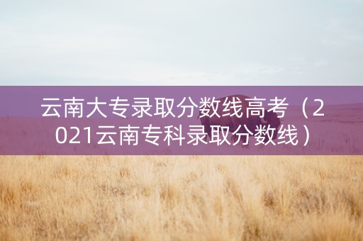 云南大专录取分数线高考（2021云南专科录取分数线）